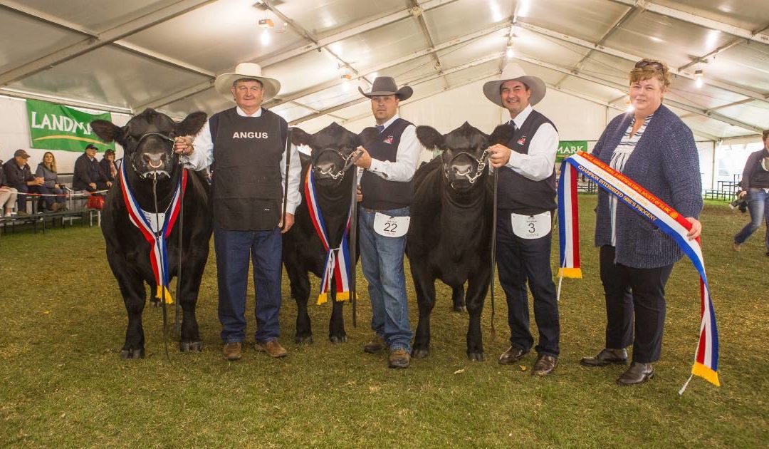 2019 Royal Adelaide Show